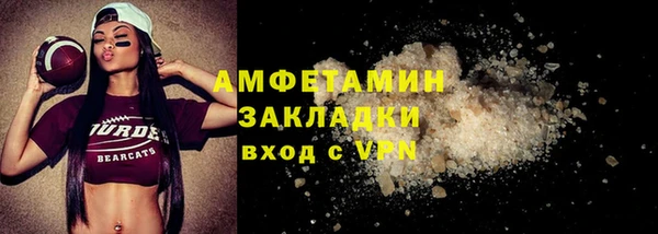 мдпв Вяземский