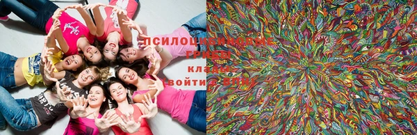 MDMA Вязьма