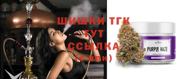 мдпв Вяземский
