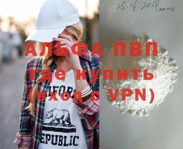 мдпв Вяземский